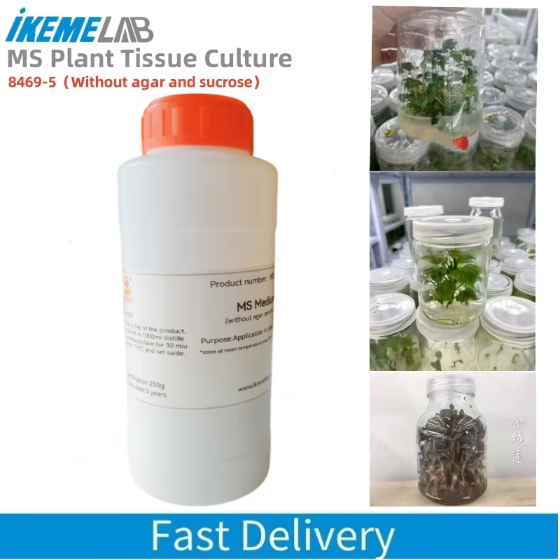 Agar Tissue Culture - IKEME 250g Lab MS Medium ohne
