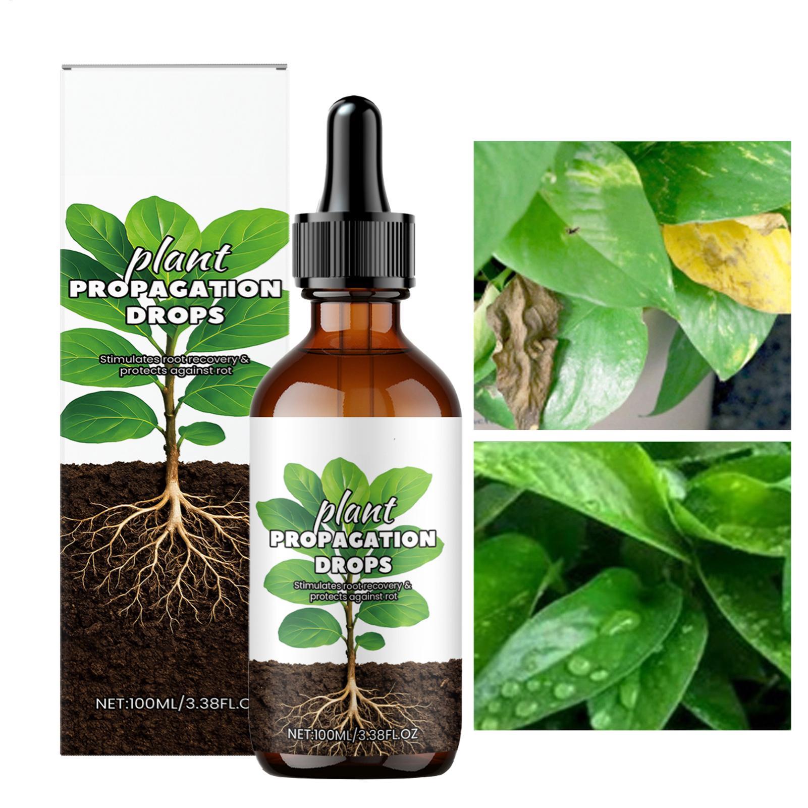 Root Stimulator Liquid - Wurzelverstärker, 100 ml, flüssige Wurzelstimulator-Tropfen für