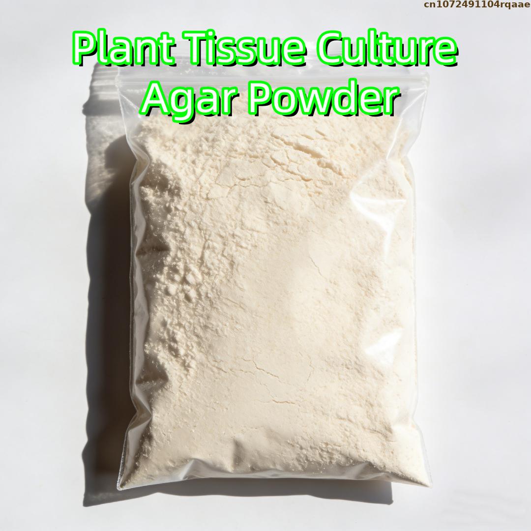 Agar Tissue Culture - Premium Pflanzengewebekultur-Agarpulver mit Hoher Gelstärke für