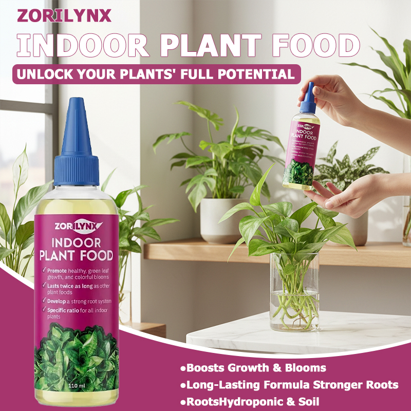 Root Stimulator Liquid - Wurzelstimulator für Zimmerpflanzen Flüssigdünger für Schnelleres