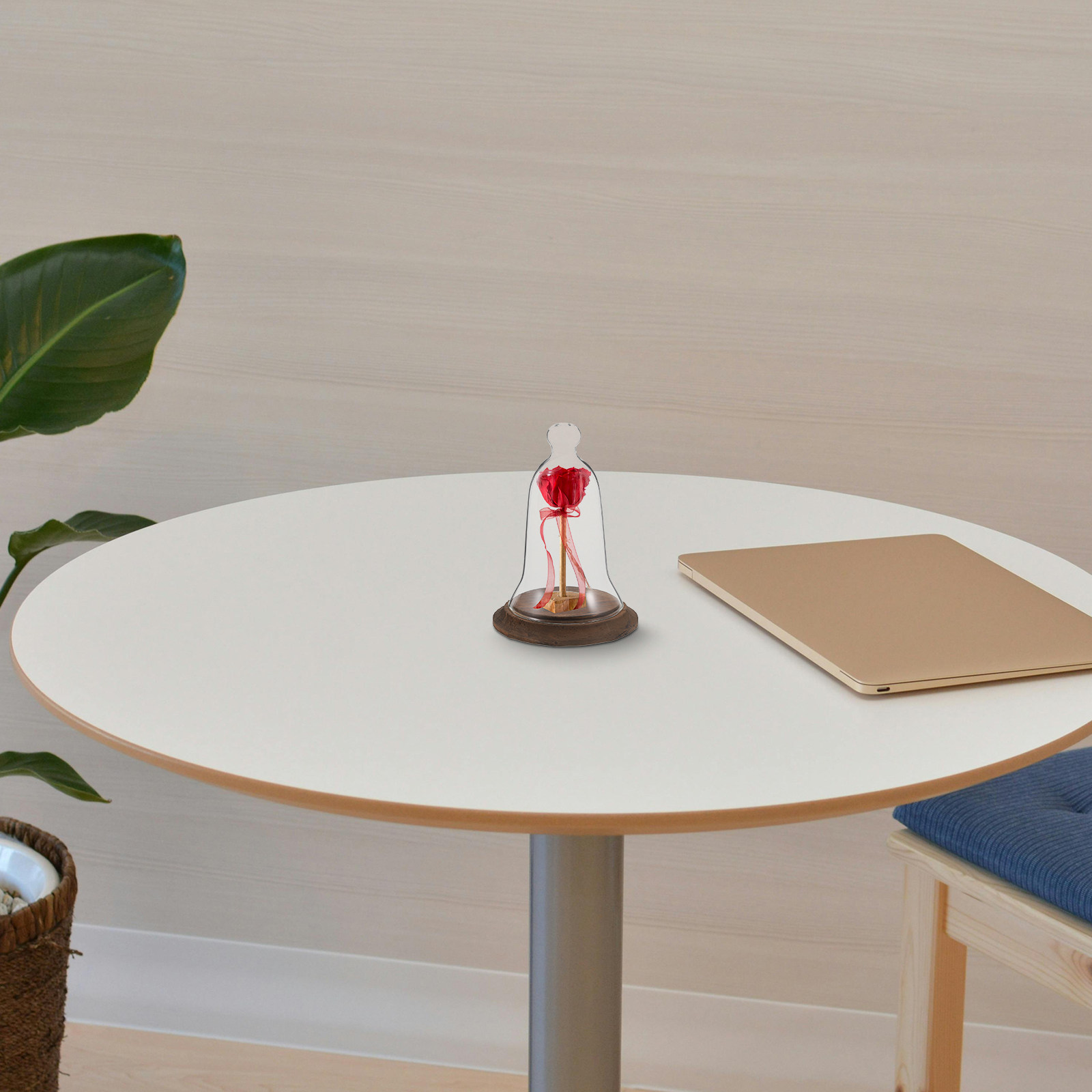 Plastic Dome Clear - Klare Glasglocke aus Hochborosilikatglas mit Holzsockel