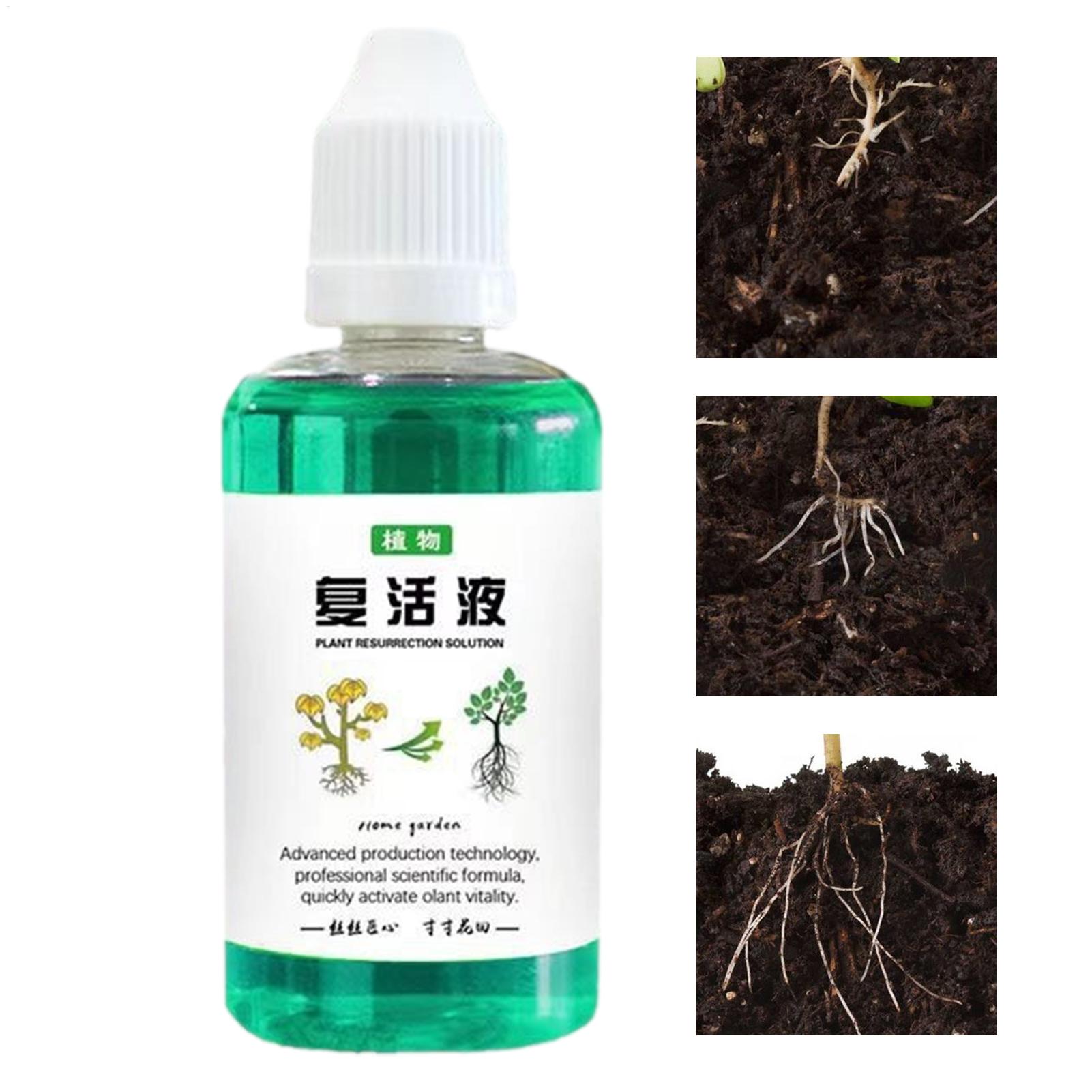 Root Stimulator Liquid - Wurzelstimulator für Pflanzen, 50 ml, Pflanzenwachstumsverstärker,