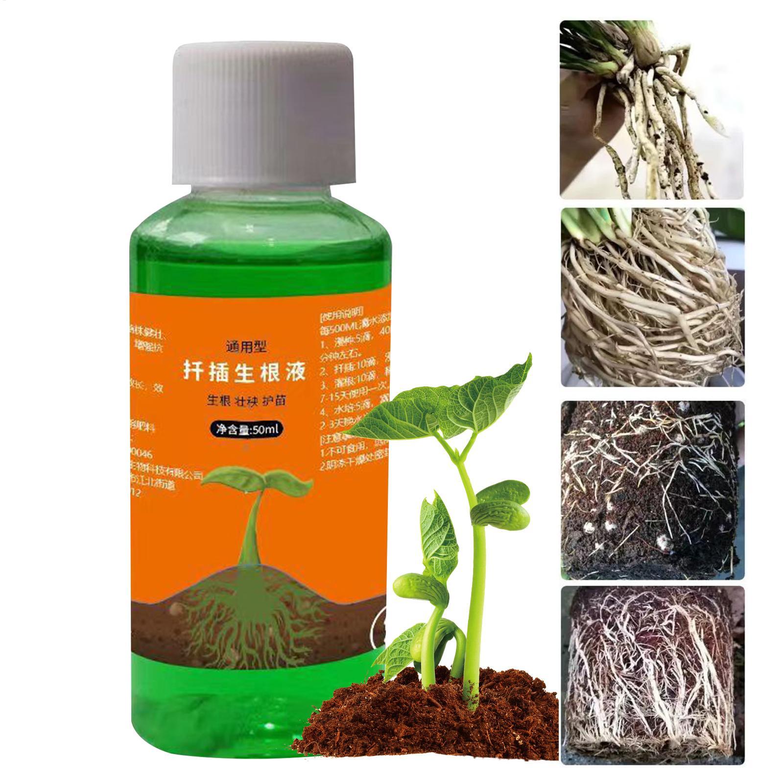 Root Stimulator Liquid - Hocheffizienter Wurzelstimulator für Pflanzensetzlinge Wurzelförderer Schneller