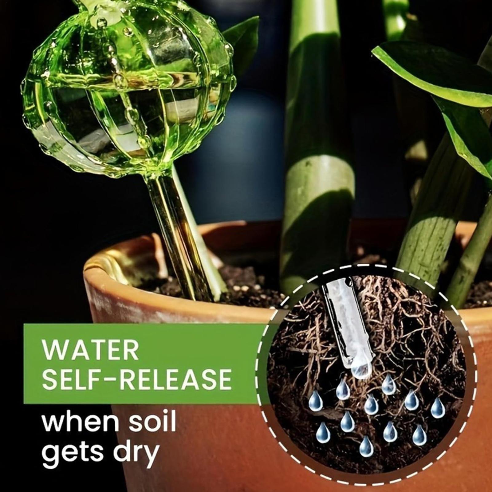 Self Watering Insert - Pflanzenbewässerungsstäbe, 3 Stück, langsam freisetzende Bewässerungsstäbe