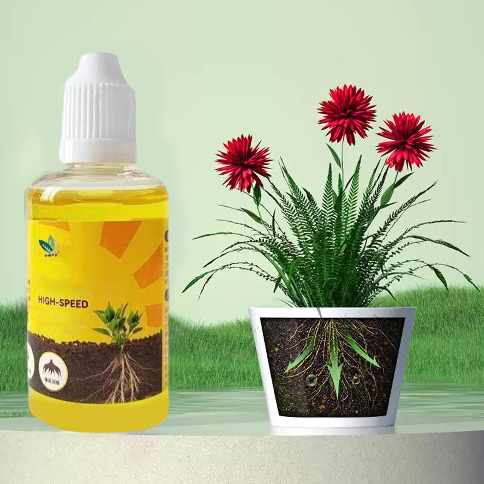 Root Stimulator Liquid - Pflanzen-Schnellbewurzelungslösung 50ml Nährstoffreiche Formel Bewurzelungsstimulator Gartenbau-Flüssigdünger