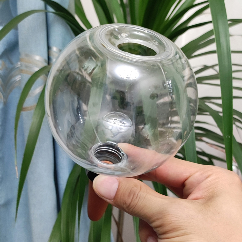 500ML Selbstbewässernde Kugeln – Self Watering Insert Bewertung und Preis