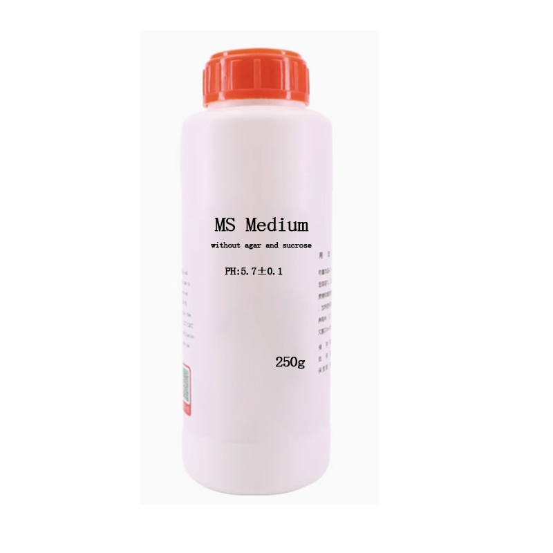 MS Medium ohne Agar oder Sacch – Agar Tissue Culture Bewertung und Preis