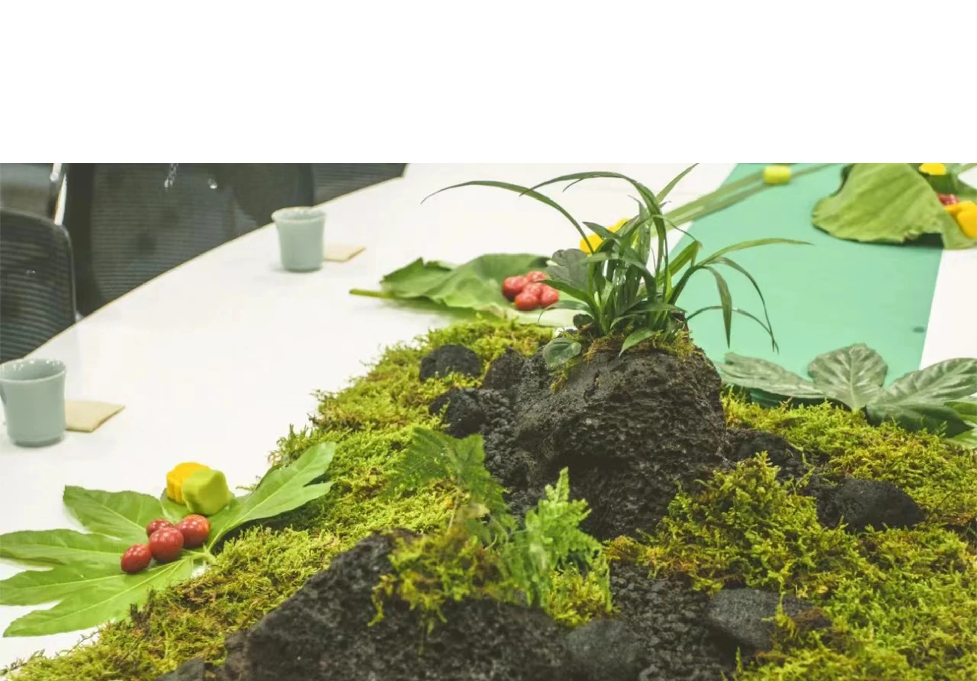 Gefälschte Moos Künstliche Moo – Sphagnum Moss Dry Bewertung und Preis