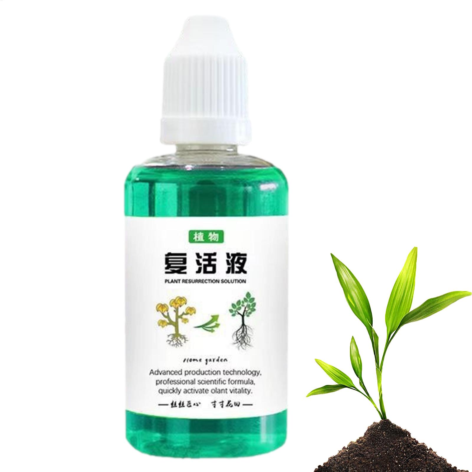 50ml Wurzelstimulator Pflanzen – Root Stimulator Liquid Bewertung und Preis