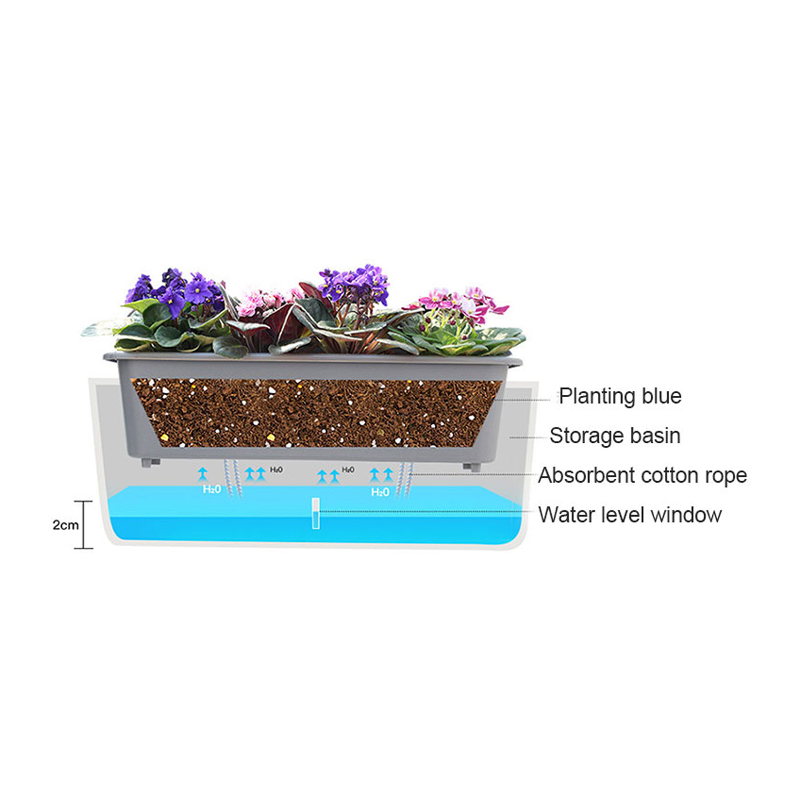 Selbstbewässernde Pflanztöpfe  – Self Watering Insert Bewertung und Preis