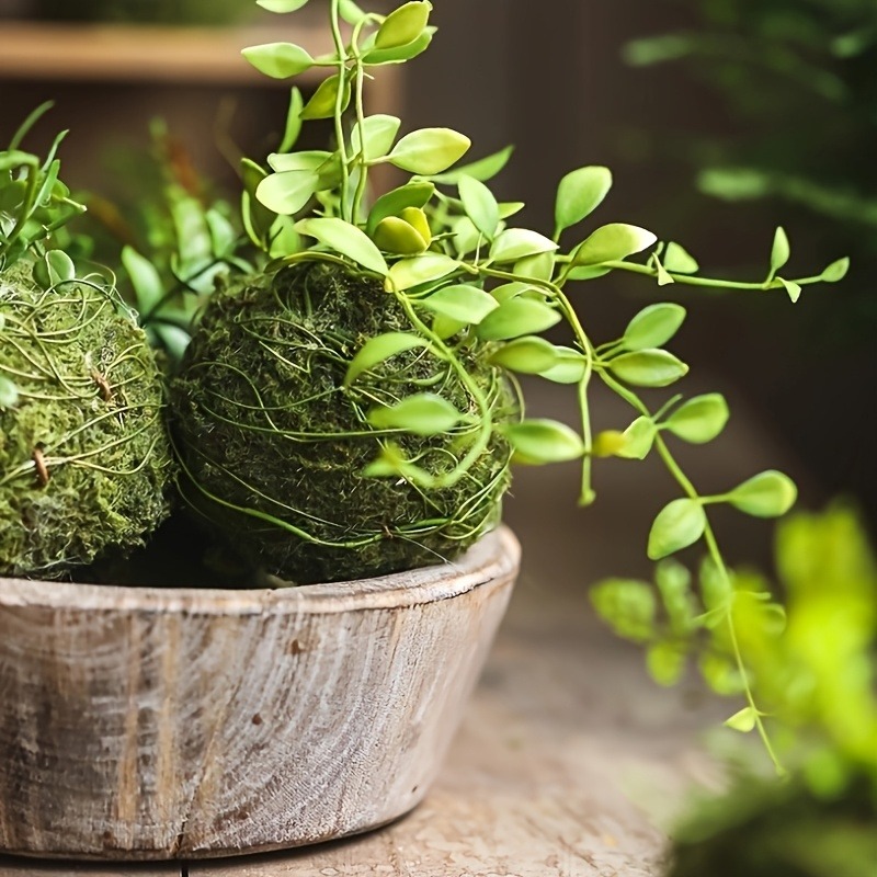 Künstlicher Moosball-Pflanzgef – Sphagnum Moss Dry Bewertung und Preis