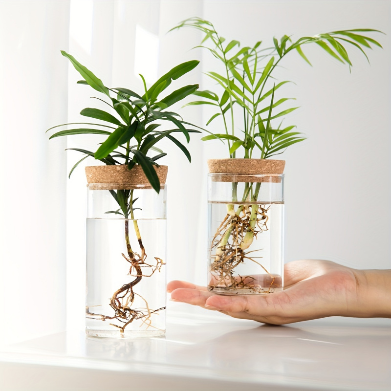 1 Stück, Hydrokultur Pflanzen  – Propagation Station Vase Bewertung und Preis