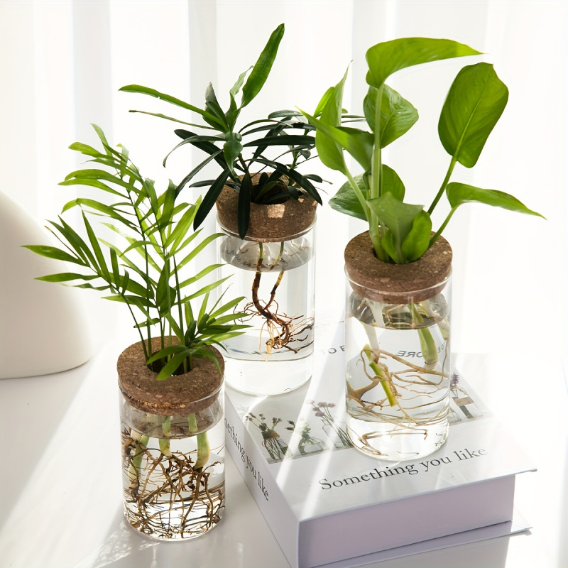 1 Stück, Hydrokultur Pflanzen  – Propagation Station Vase Bewertung und Preis