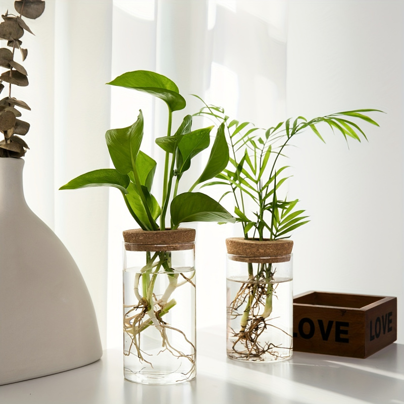 1 Stück, Hydrokultur Pflanzen  – Propagation Station Vase Bewertung und Preis