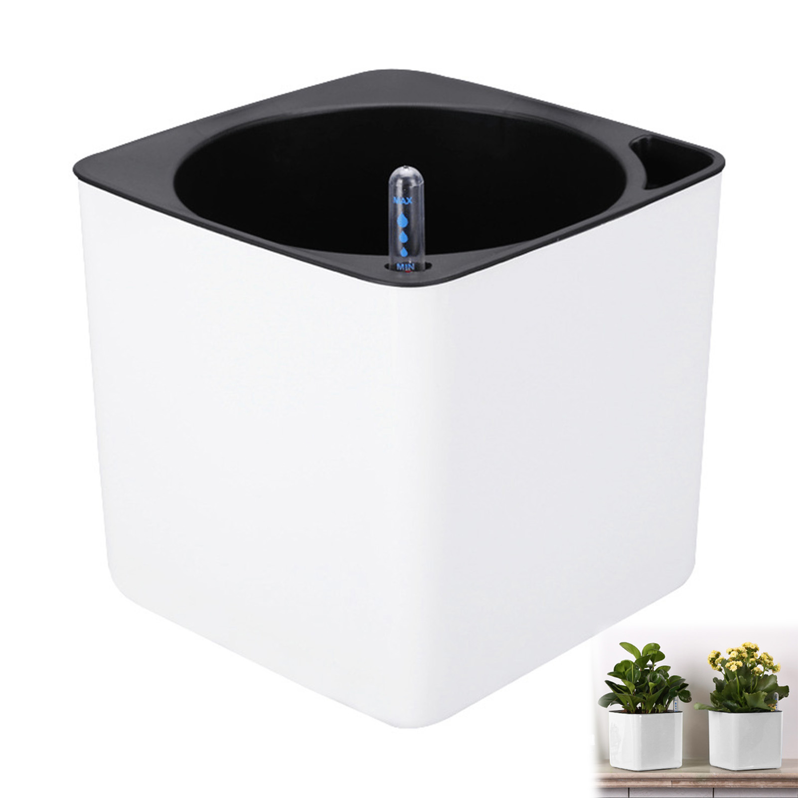 Automatische Selbst Bewässerun – Self Watering Insert Bewertung und Preis