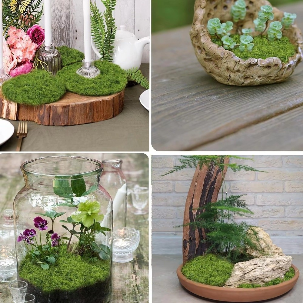 DIY Kunstrasen-Teppich Langleb – Sphagnum Moss Dry Bewertung und Preis