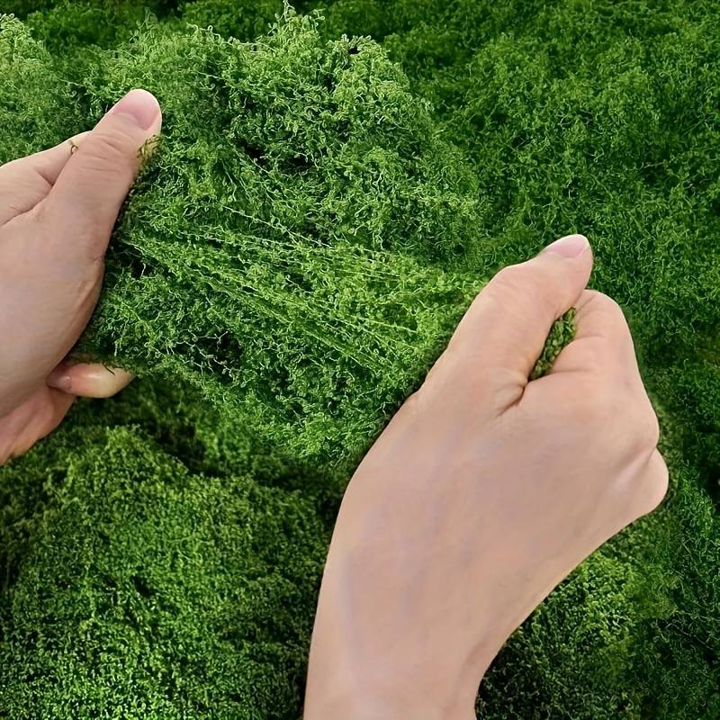 6 x 6 Meter Künstliche Moosmat – Sphagnum Moss Dry Bewertung und Preis