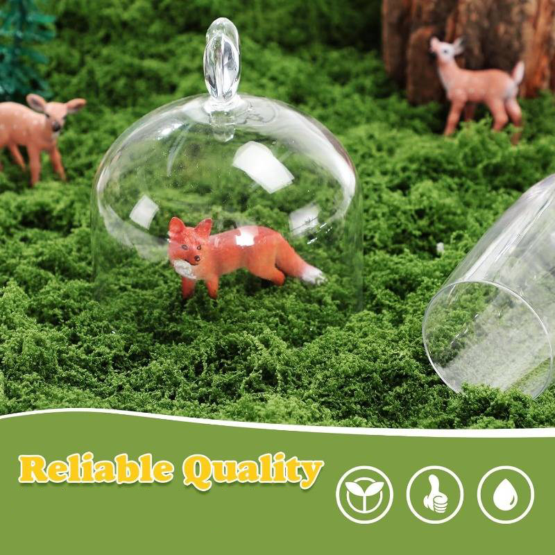 6 x 6 Meter Künstliche Moosmat – Sphagnum Moss Dry Bewertung und Preis