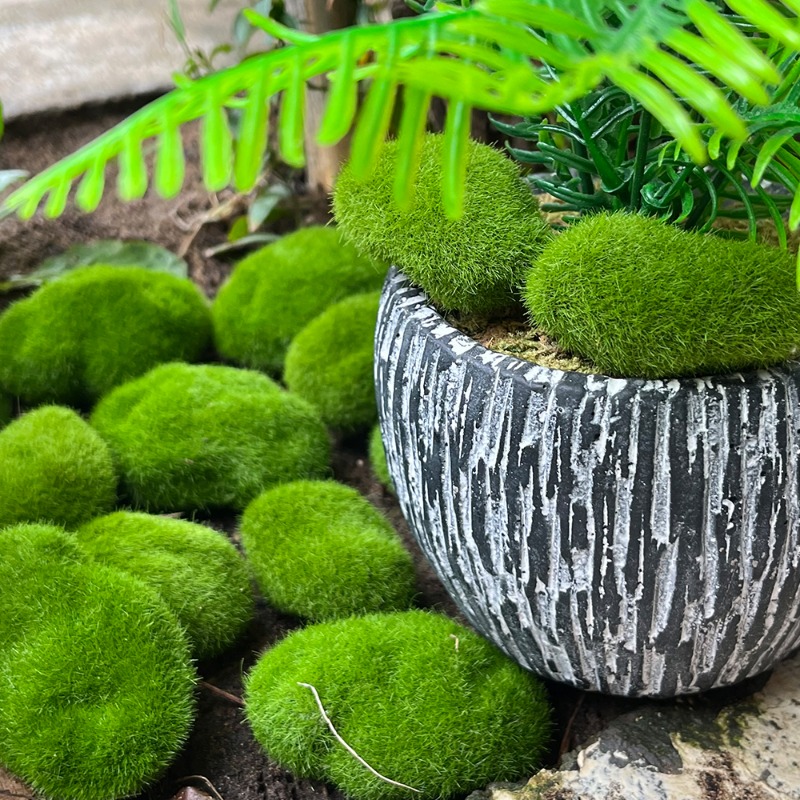 100/5 Stück Künstliche Moosste – Sphagnum Moss Dry Bewertung und Preis