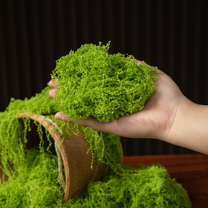 200g Ewiges Leben Moos DIY Bas – Sphagnum Moss Dry Bewertung und Preis