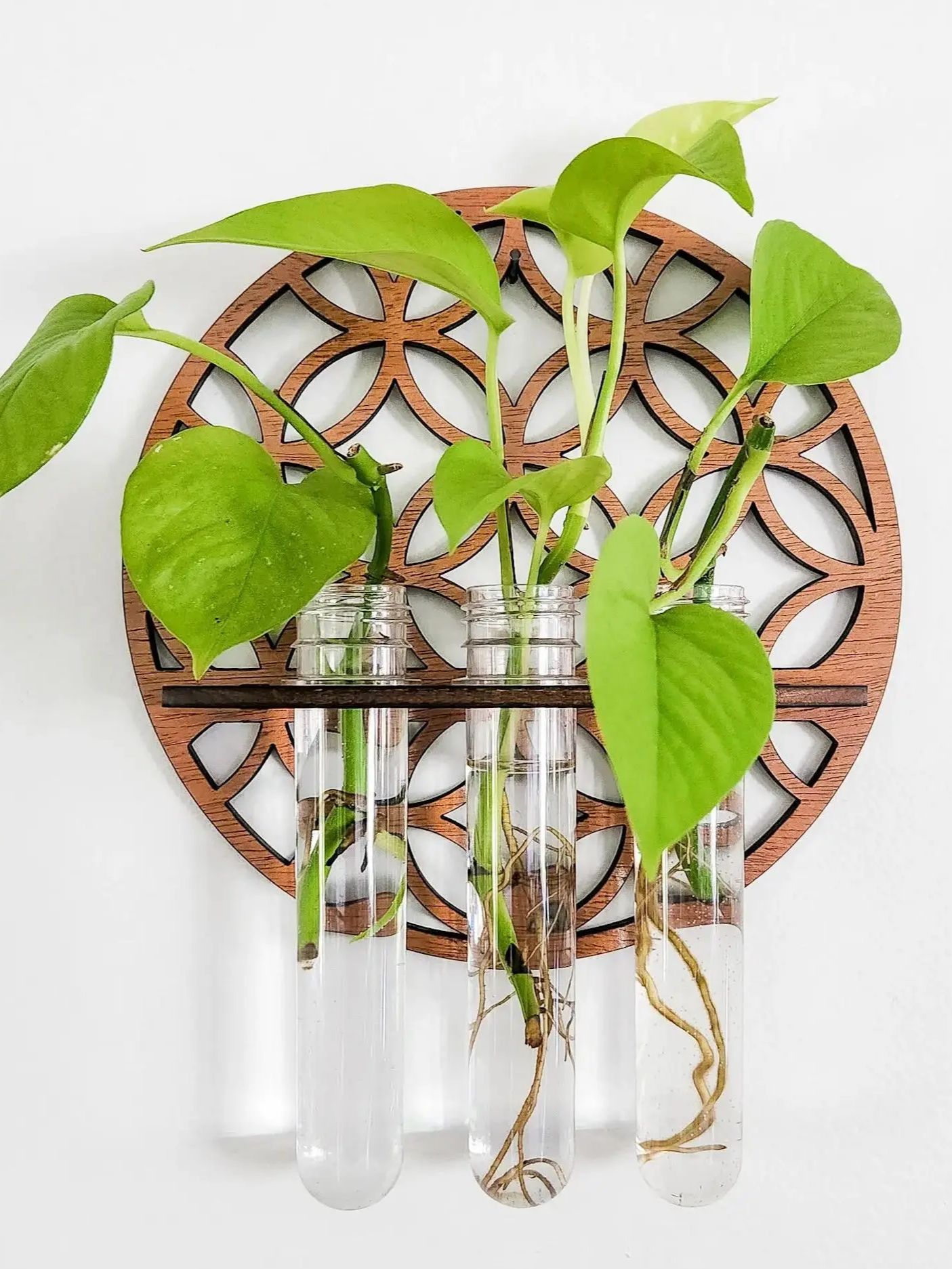 Garten-Wandpflanzgefäße für de – Propagation Station Vase Bewertung und Preis