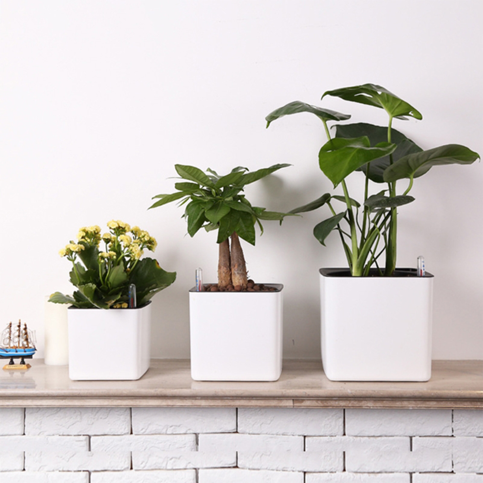 Lazy-Blumentopf in 3 Größen, g – Self Watering Insert Bewertung und Preis