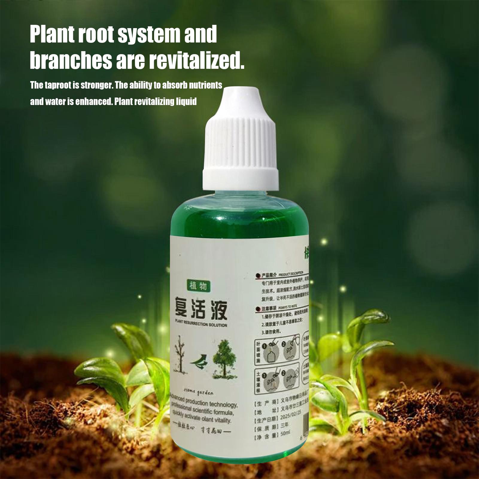 Wurzelstimulator Pflanzenwiede – Root Stimulator Liquid Bewertung und Preis