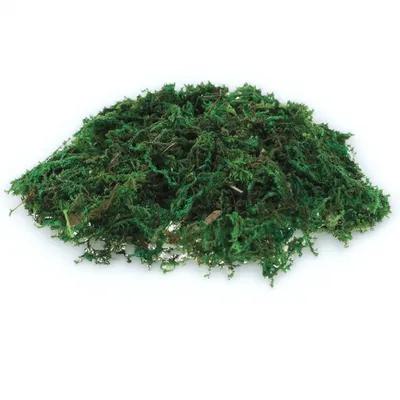 1 Packung natürlich aussehende – Sphagnum Moss Dry Bewertung und Preis