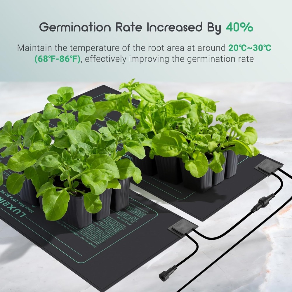 4er-Pack Saatgut-Heizmatte mit – Heat Mat Seedling Bewertung und Preis
