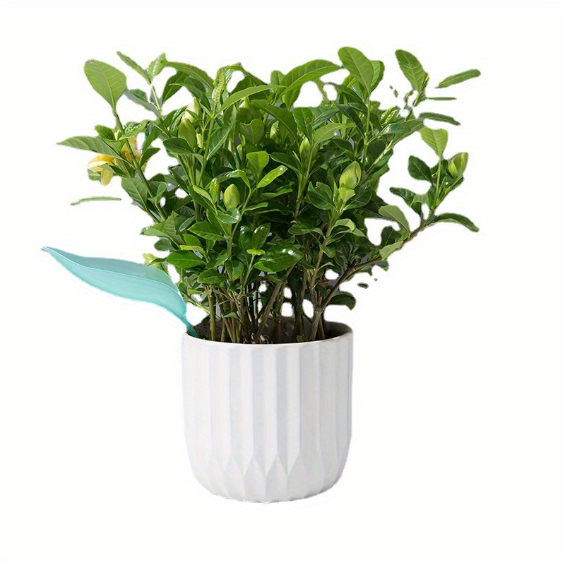 Kreativer Bewässerungs-Trichte – Self Watering Insert Bewertung und Preis