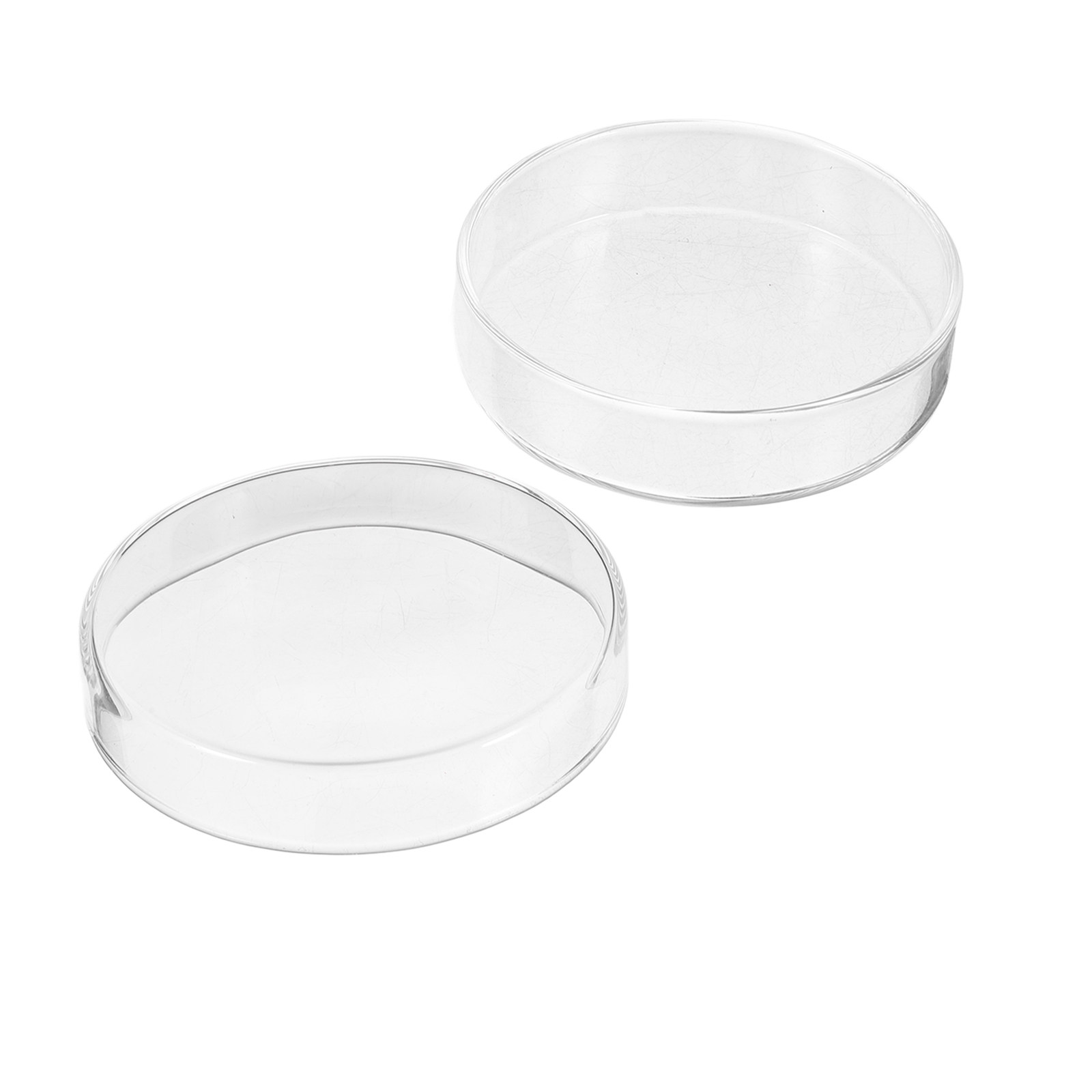 1 Set Verdickte Glas-Petrischa – Agar Tissue Culture Bewertung und Preis