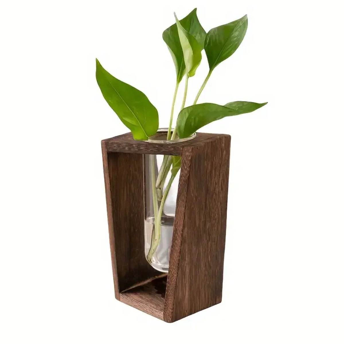 Pflanzenvermehrungsstation Hyd – Propagation Station Vase Bewertung und Preis