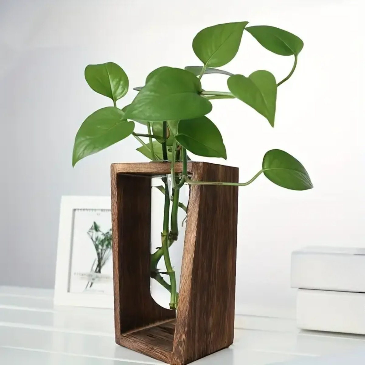 Pflanzenvermehrungsstation Hyd – Propagation Station Vase Bewertung und Preis