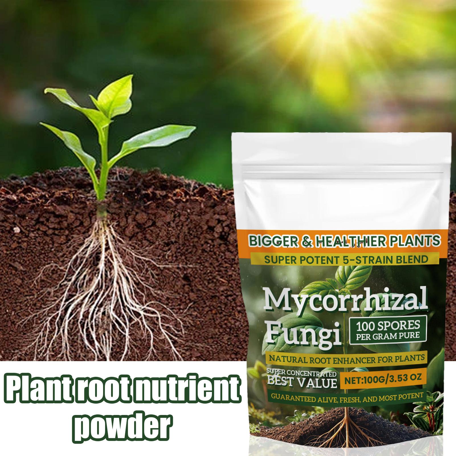 Neues Pflanzennährstoffpulver  – Rooting Hormone Powder Bewertung und Preis