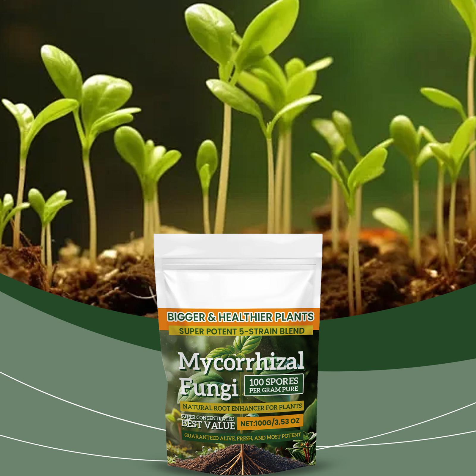 Neues Pflanzennährstoffpulver  – Rooting Hormone Powder Bewertung und Preis