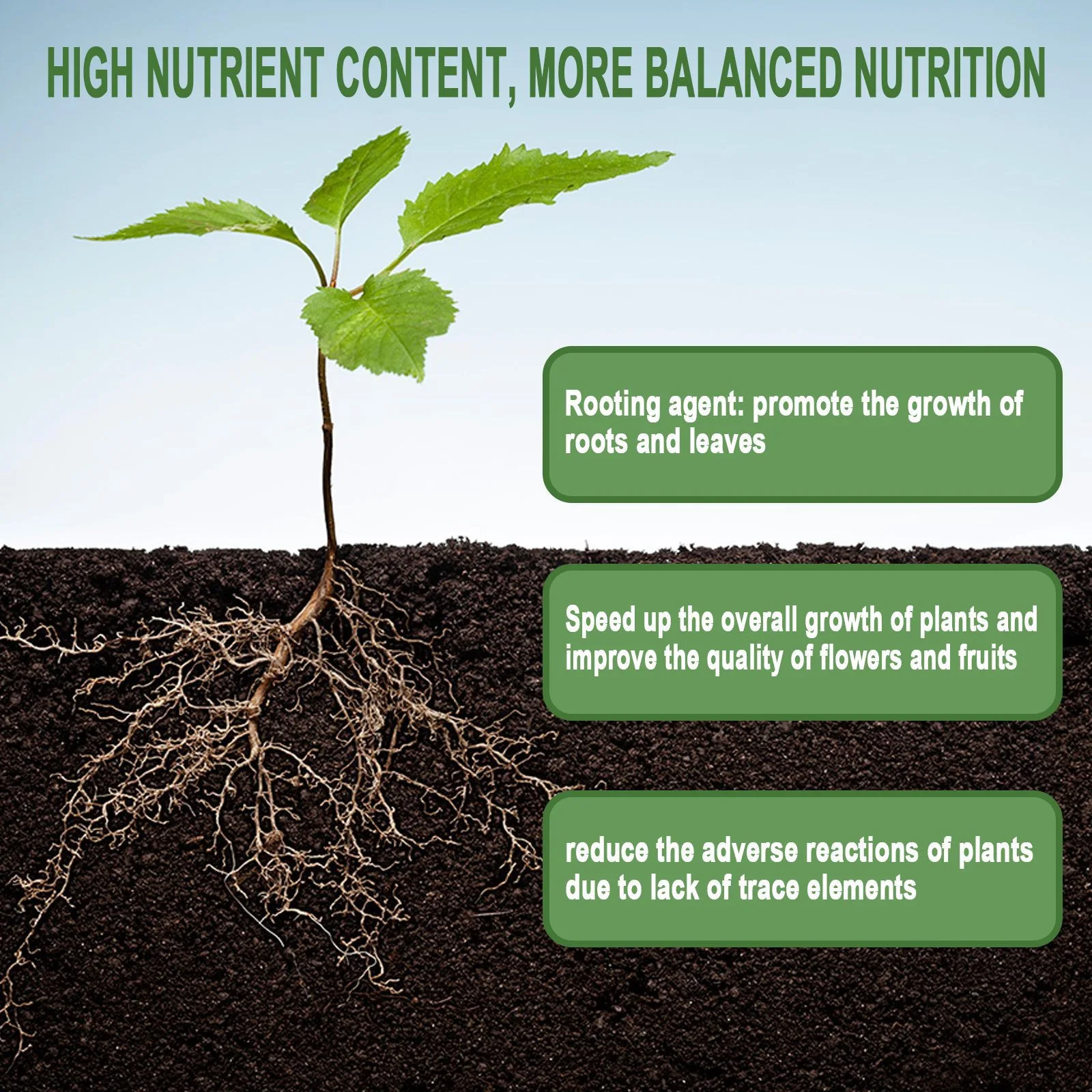 1Seltenes Pflanzenwurzelpulver – Rooting Hormone Powder Bewertung und Preis