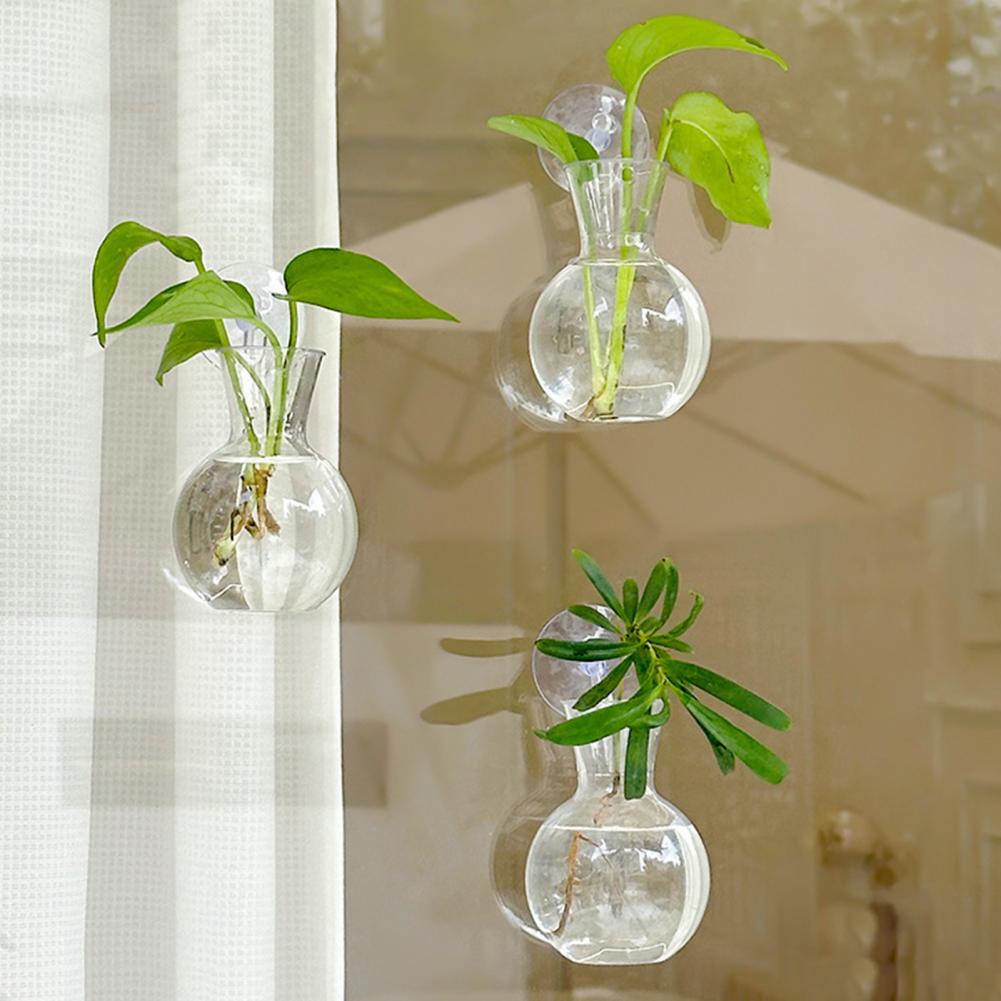 Fensterpflanzgefäß, Fensterpfl – Propagation Station Vase Bewertung und Preis