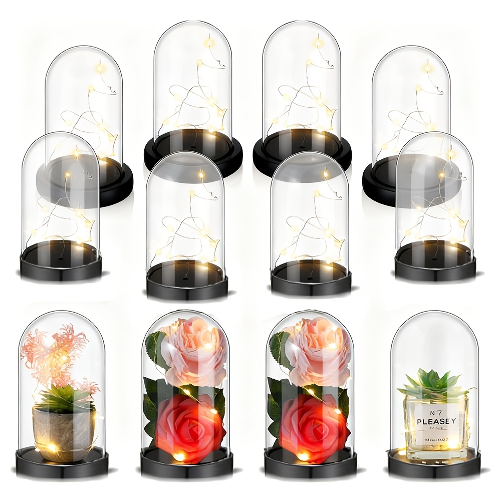 Transparente Plastik-Weihnacht – Plastic Dome Clear Bewertung und Preis