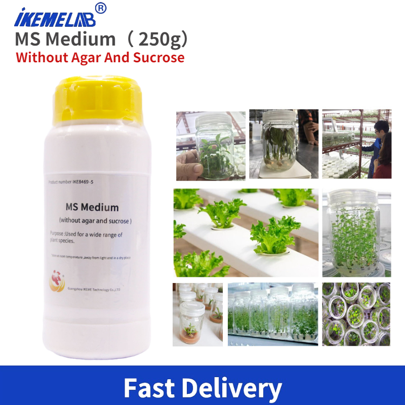 IKEME Lab MS Medium 250 g ohne – Agar Tissue Culture Bewertung und Preis