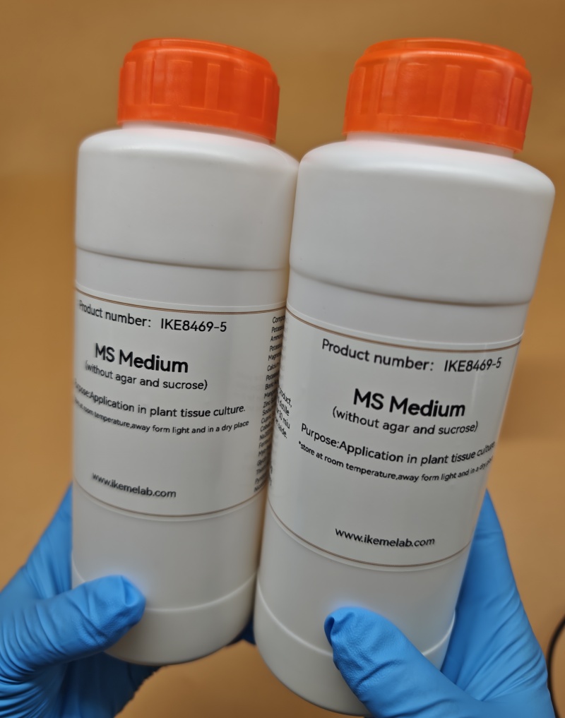 IKEME Lab MS Medium 250 g ohne – Agar Tissue Culture Bewertung und Preis