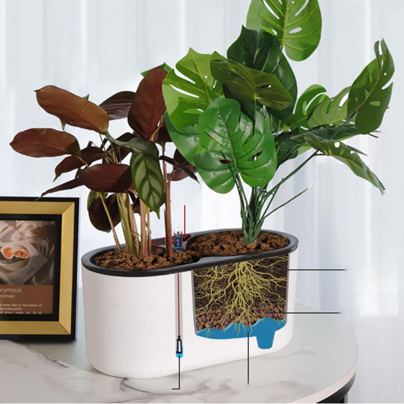 Indoor-Anlage Mit Anzeige Holz – Self Watering Insert Bewertung und Preis