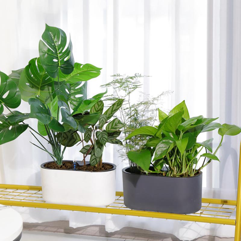 Indoor-Anlage Mit Anzeige Holz – Self Watering Insert Bewertung und Preis