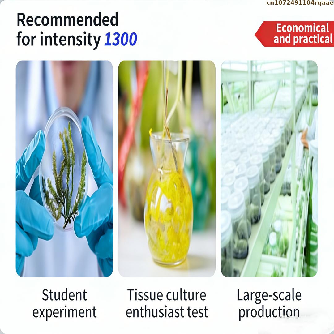 Premium Pflanzengewebekultur-A – Agar Tissue Culture Bewertung und Preis