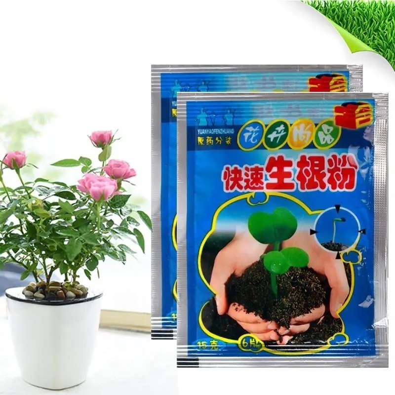 5 stücke Schnelle Verwurzelung – Rooting Hormone Powder Bewertung und Preis