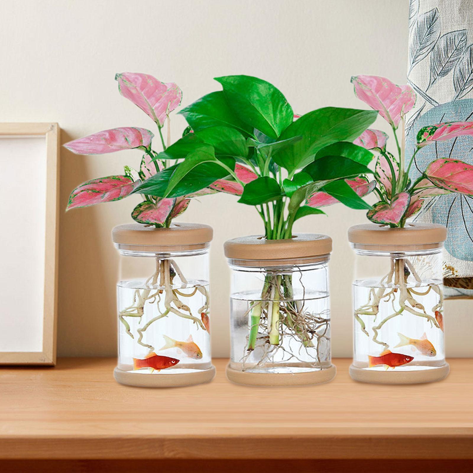 3 Stück Hydrokultur-Blumenvase – Propagation Station Vase Bewertung und Preis