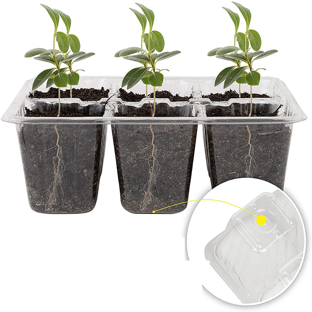 Saatgut-Startersc halen mit Wa – Humidity Dome Kit Bewertung und Preis