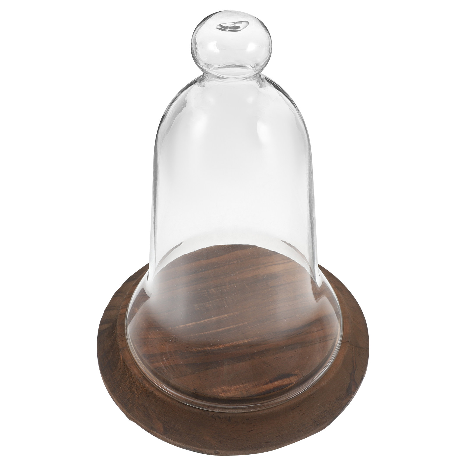 Klare Glasglocke aus Hochboros – Plastic Dome Clear Bewertung und Preis