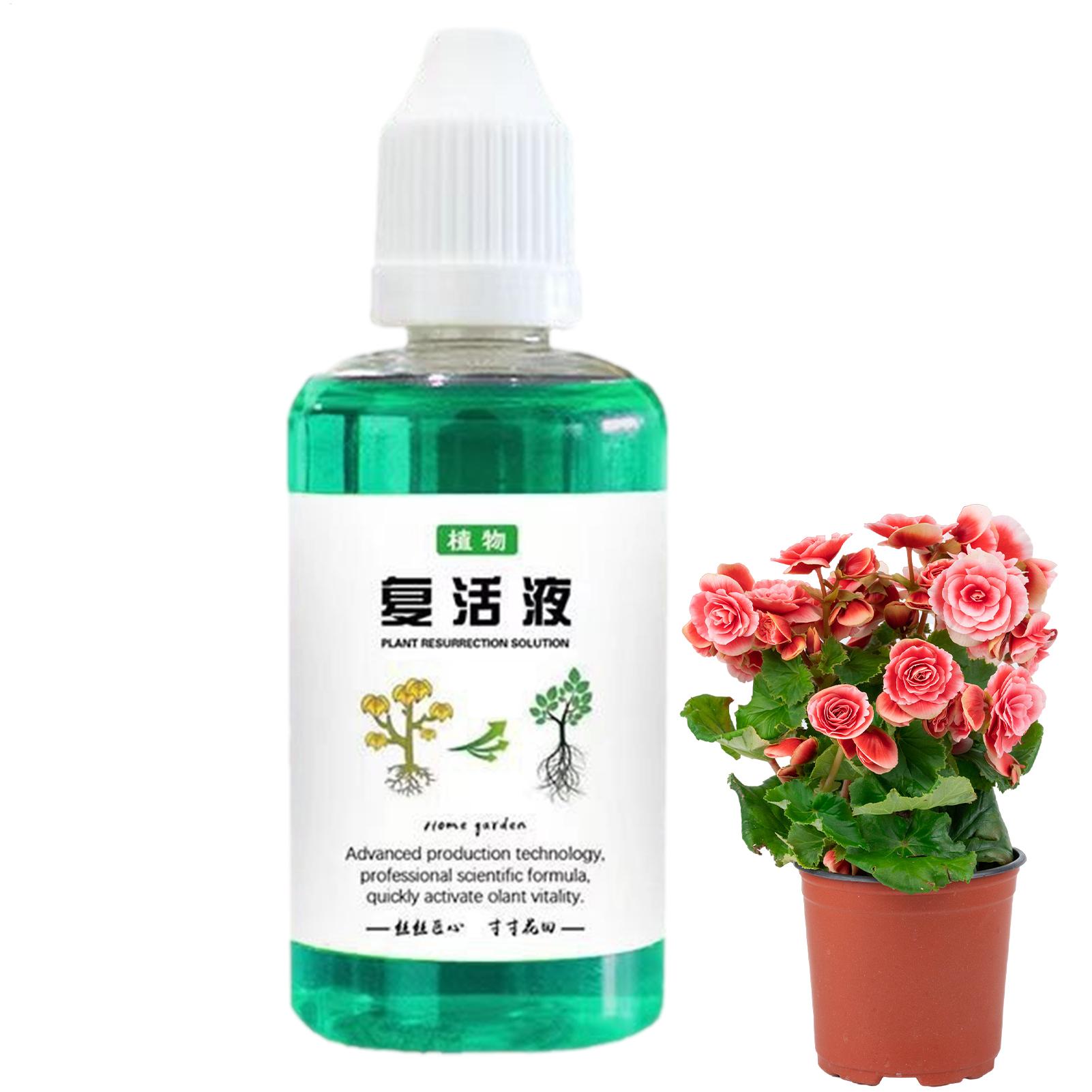 Wurzelstimulator für Pflanzen, – Root Stimulator Liquid Bewertung und Preis