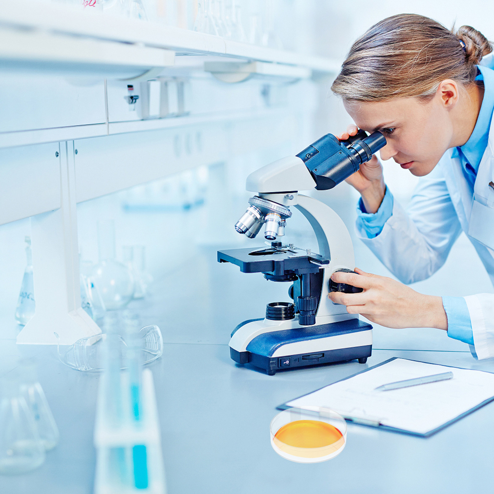 30 Stück Petrischalen aus durc – Agar Tissue Culture Bewertung und Preis