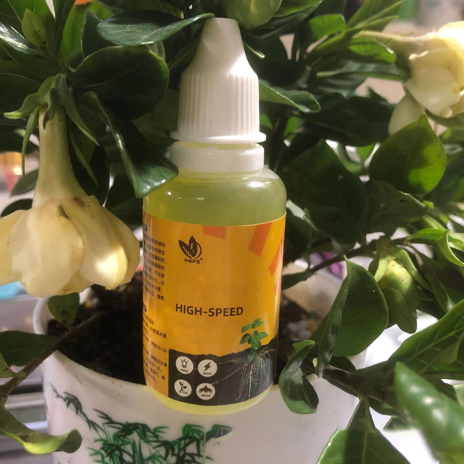 50ml Pflanzenwurzel-Stimulans  – Root Stimulator Liquid Bewertung und Preis